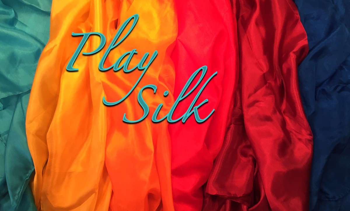 Play Silks | Homeschool Haul