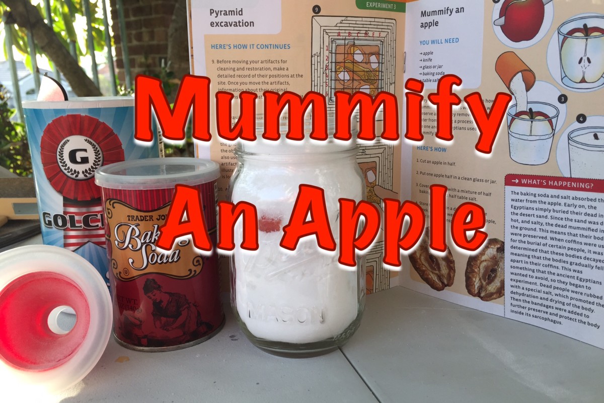 How to Mummify an Apple | Ancient Egypt