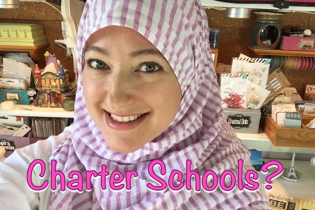 California Charter School Experience