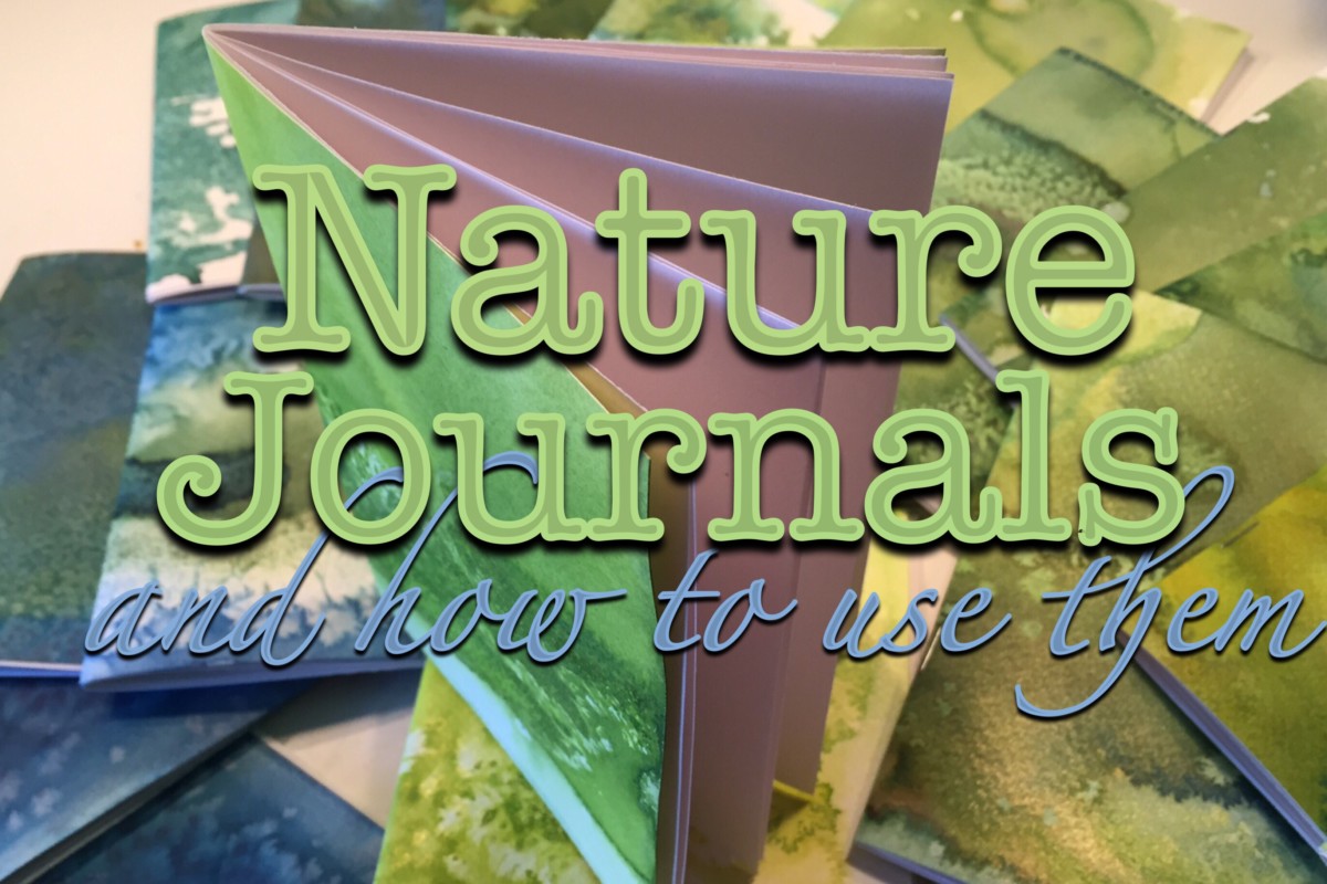 How To Use A Nature Journal | Nature Unit