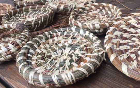 How to Make Pine Needle Baskets | Dust and Tribe