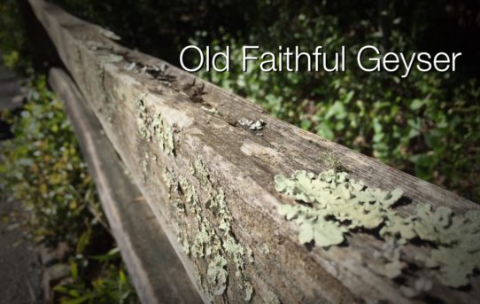 Old Faithful Geyser | Nature Unit