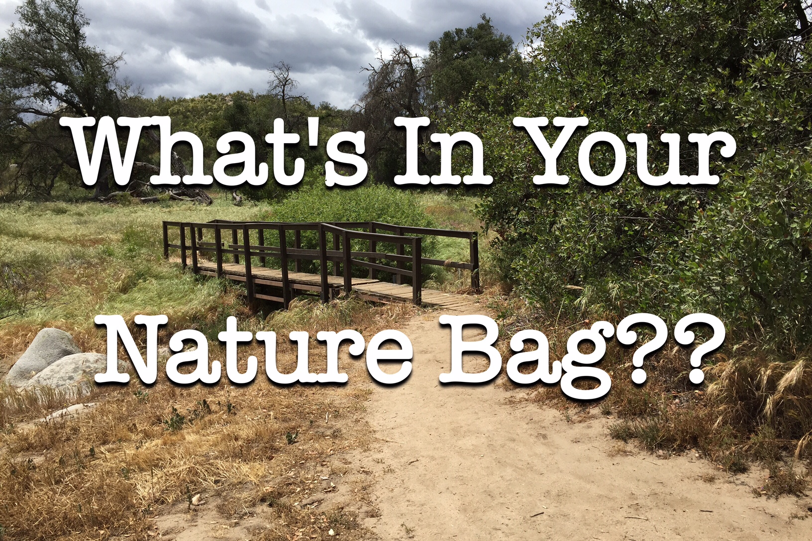 What’s in a Nature Bag? | Nature Unit