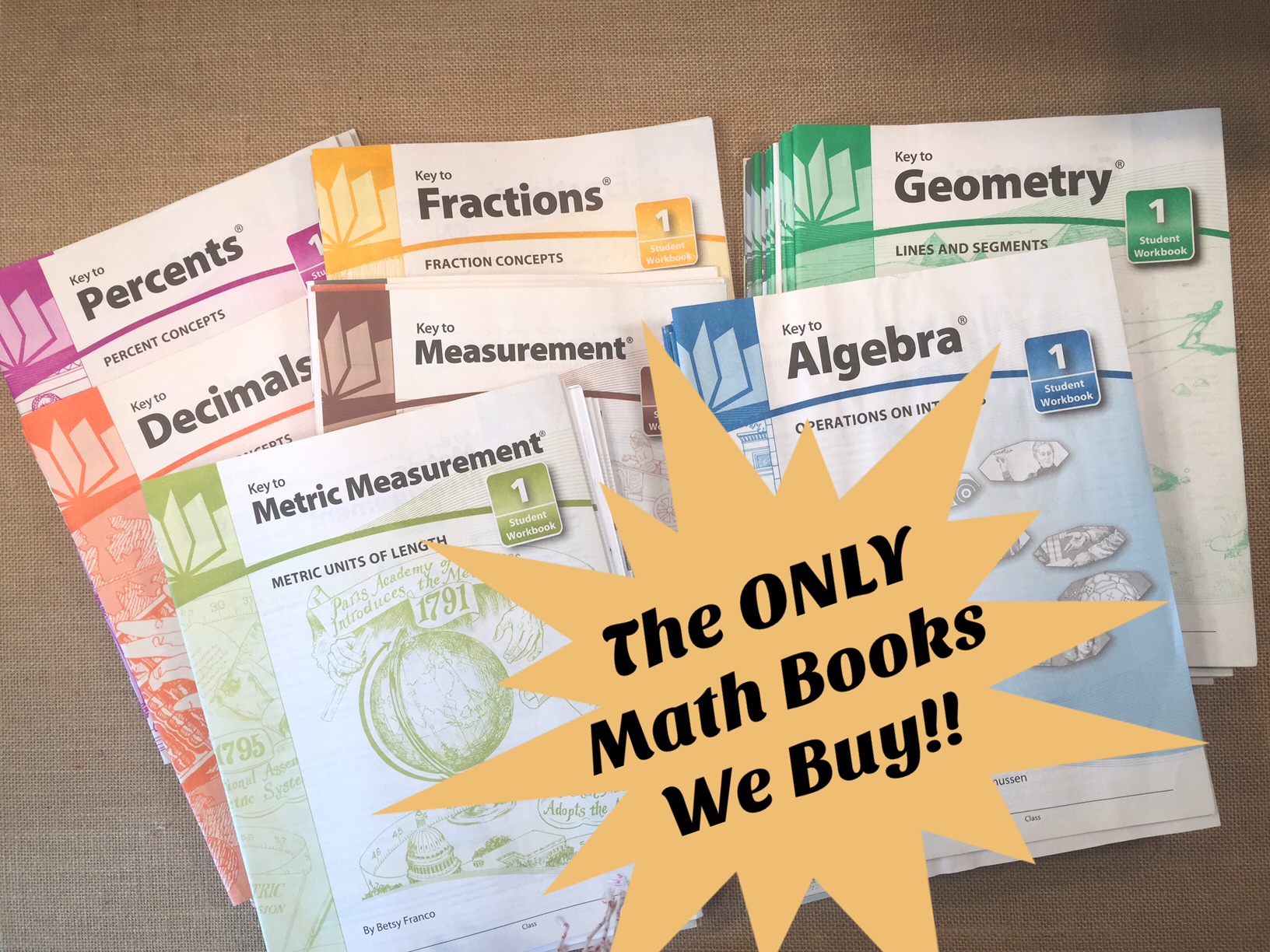 MATH CURRICULUM WORKBOOKS | MUST HAVE!!