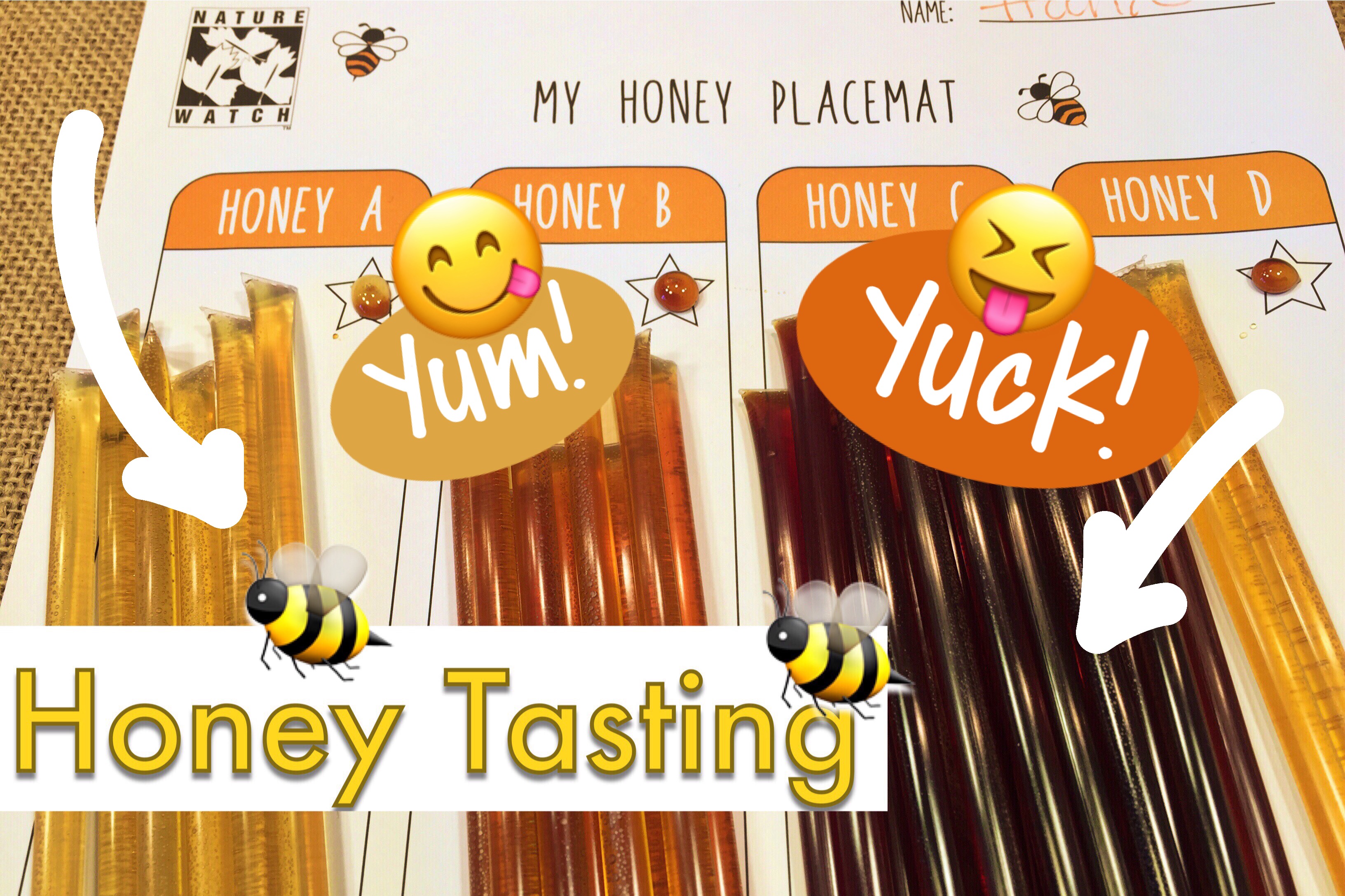 HONEY TASTING KIT