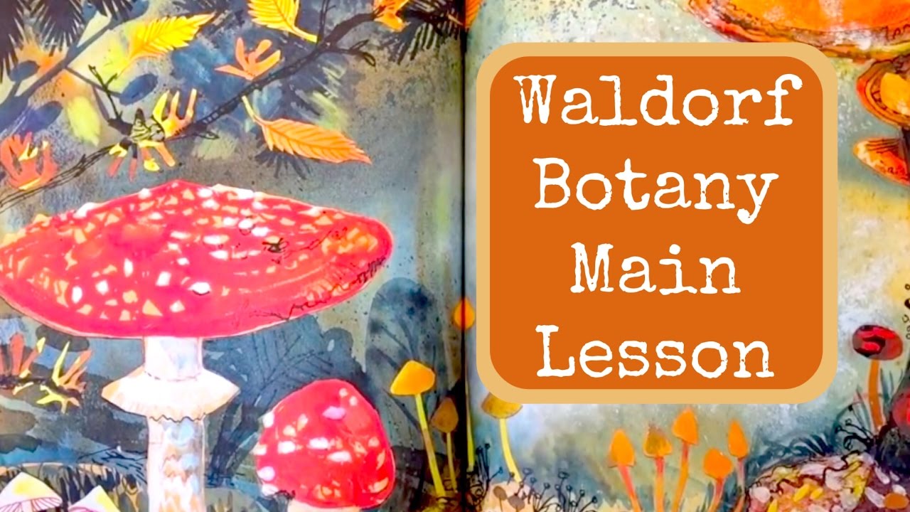 WALDORF MAIN LESSON BOTANY | UNIT STUDY PLANTS & TREES | HOMESCHOOL