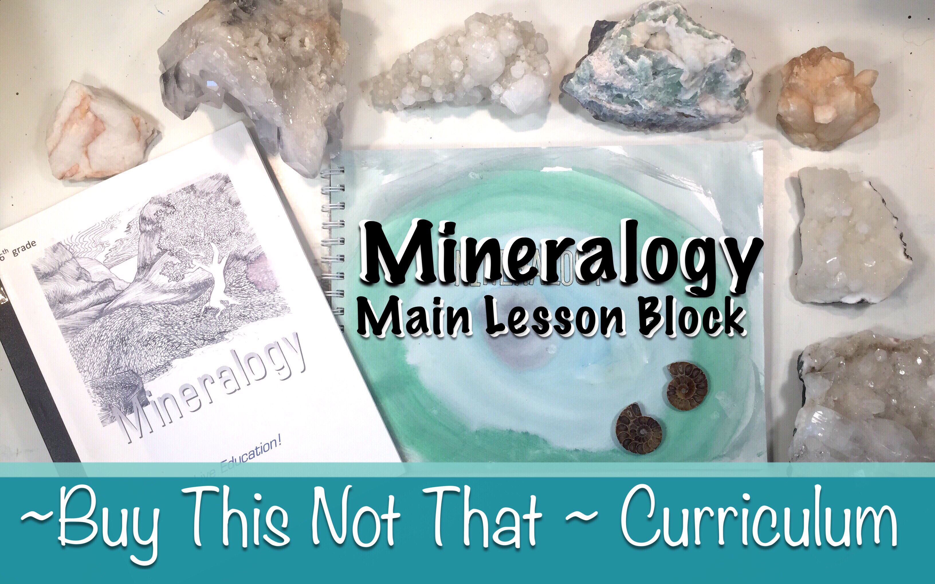 HOMESCHOOL CURRICULUM REVIEW | LITERATURE-BASED SCIENCE