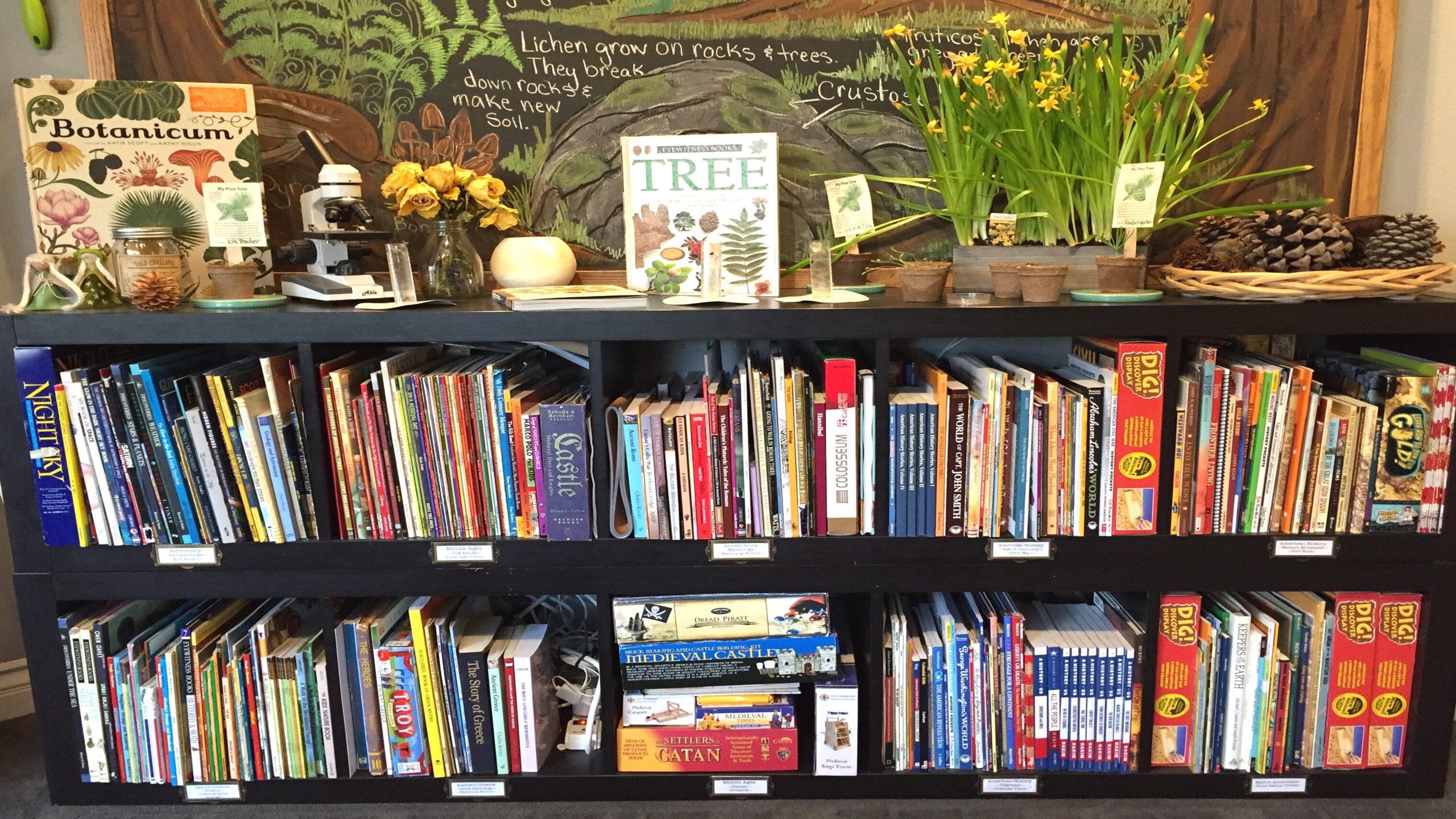 HOW I ORGANIZE OUR BOOKSHELVES | HOME LIBRARY TOUR