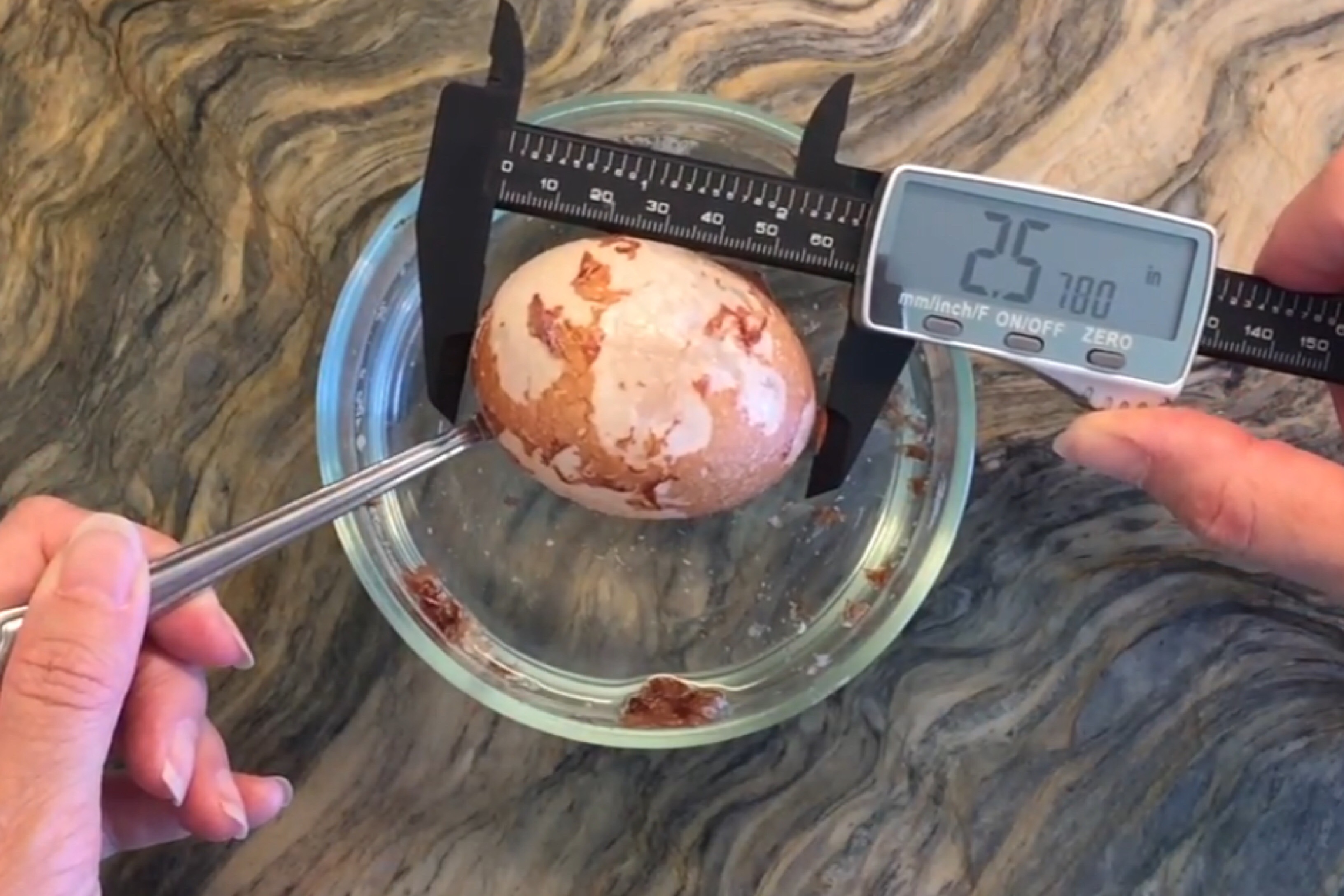 WHAT HAPPENS WHEN YOU PUT AN EGG IN VINEGAR Pepper And Pine