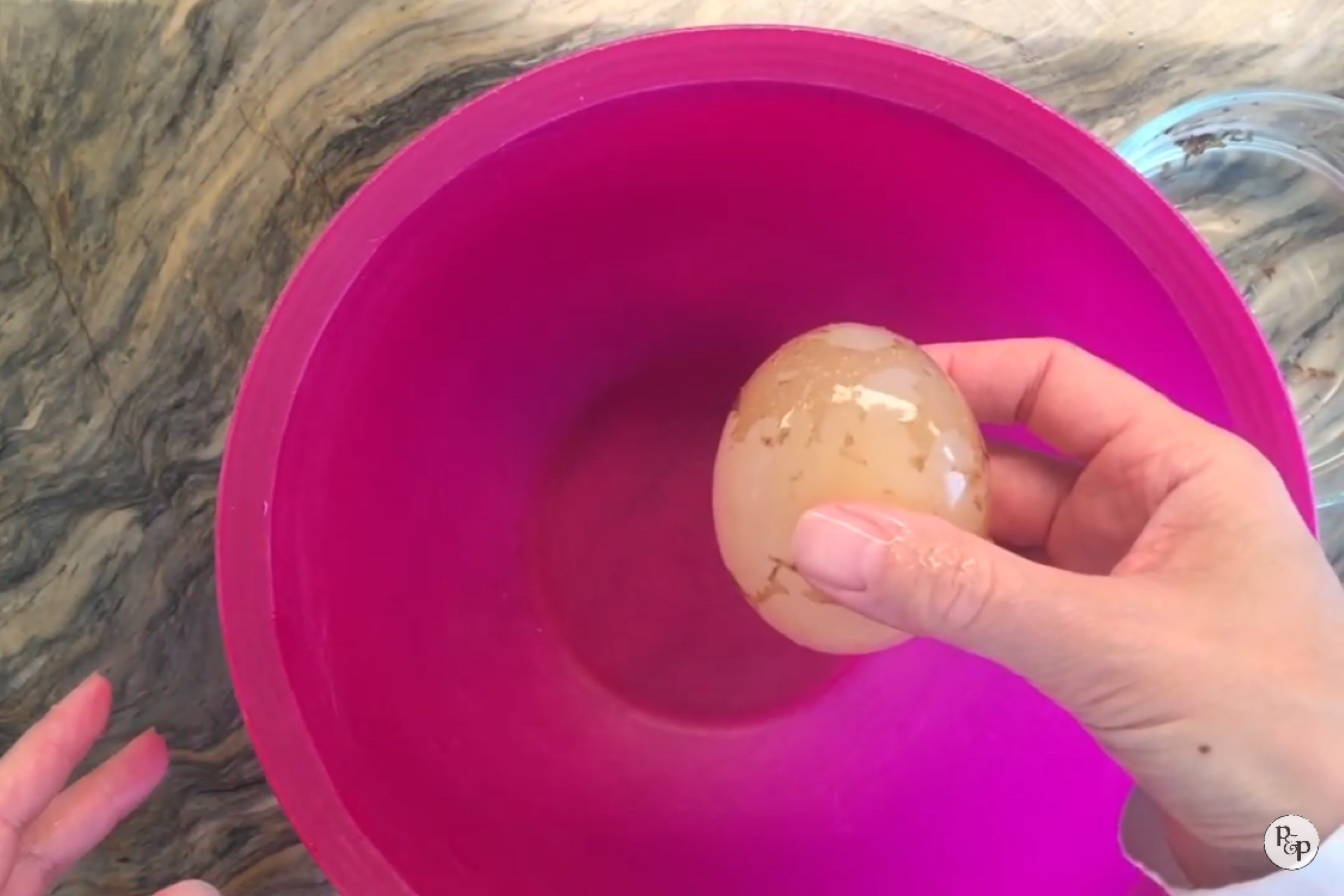 WHAT HAPPENS WHEN YOU PUT AN EGG IN VINEGAR Pepper And Pine
