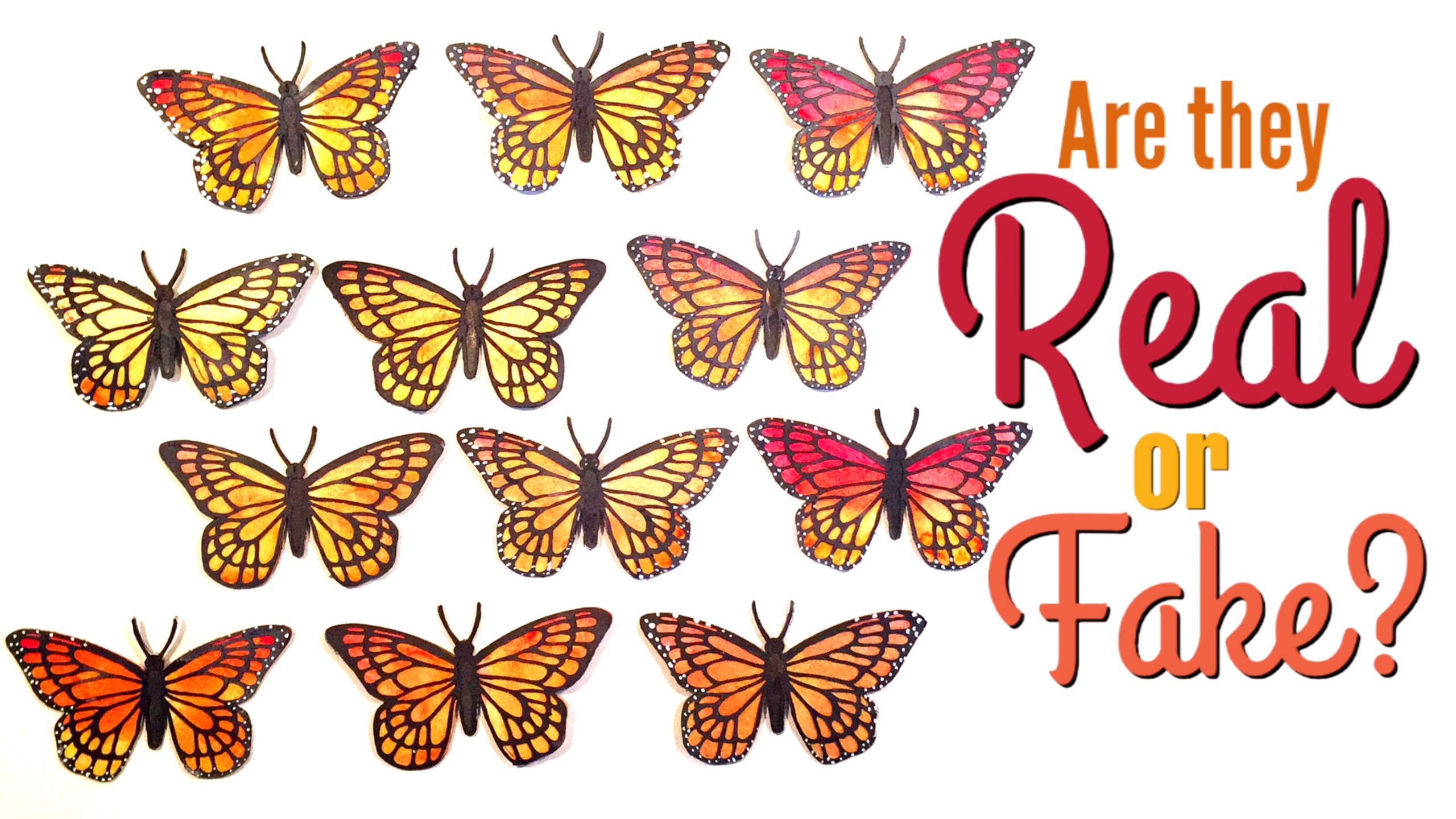 MONARCH BUTTERFLY PAPER PROJECT