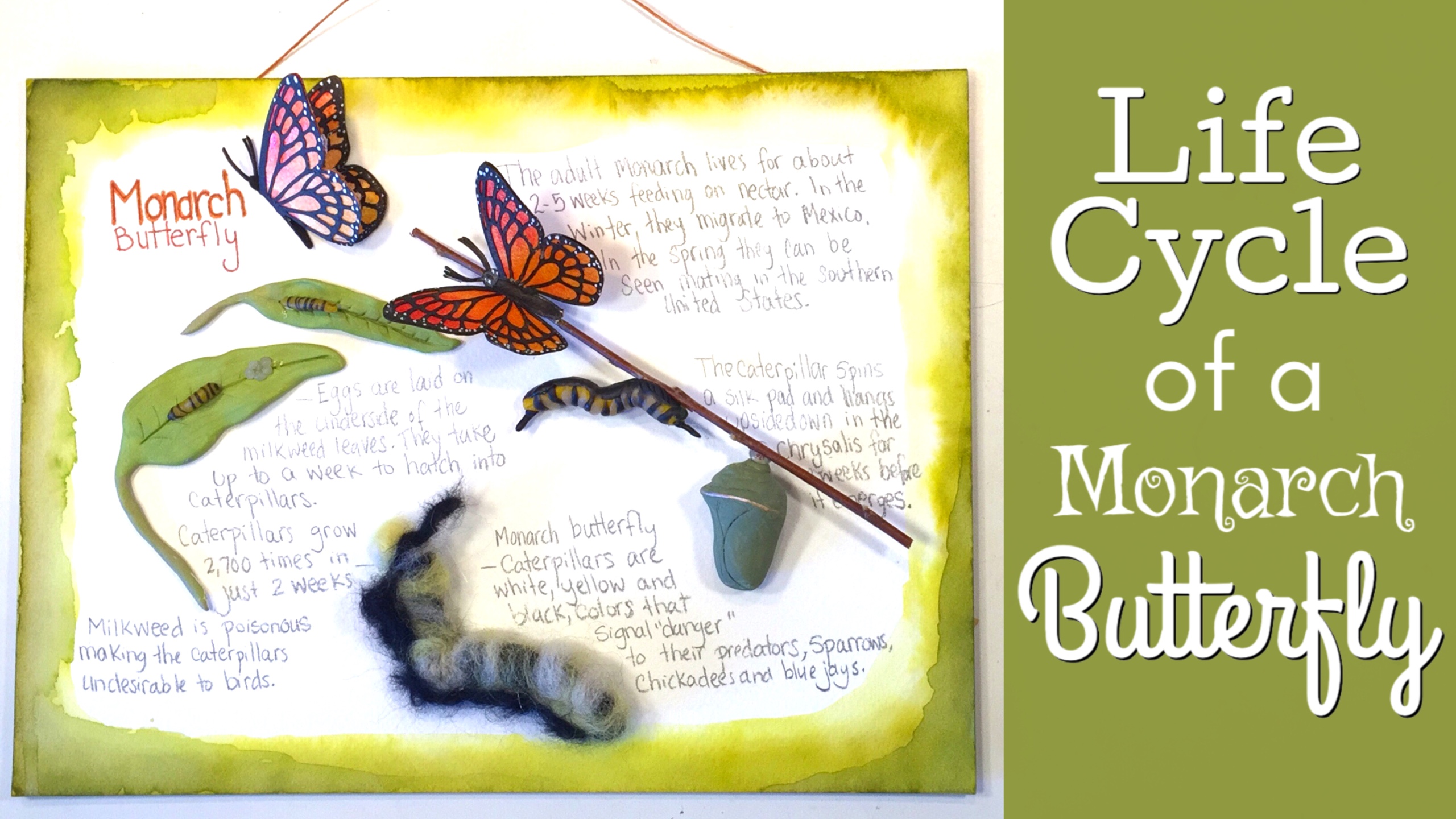 MONARCH BUTTERFLY PAPER PROJECT – Pepper and Pine