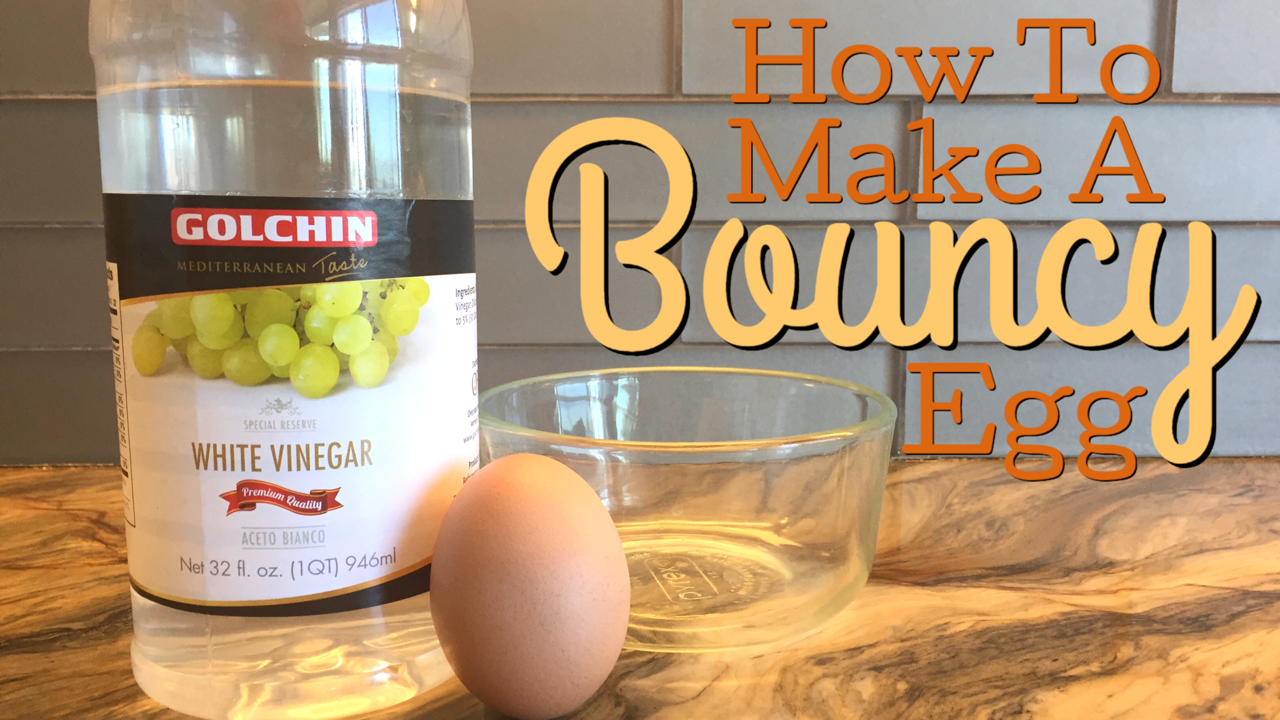 WHAT HAPPENS WHEN YOU PUT AN EGG IN VINEGAR