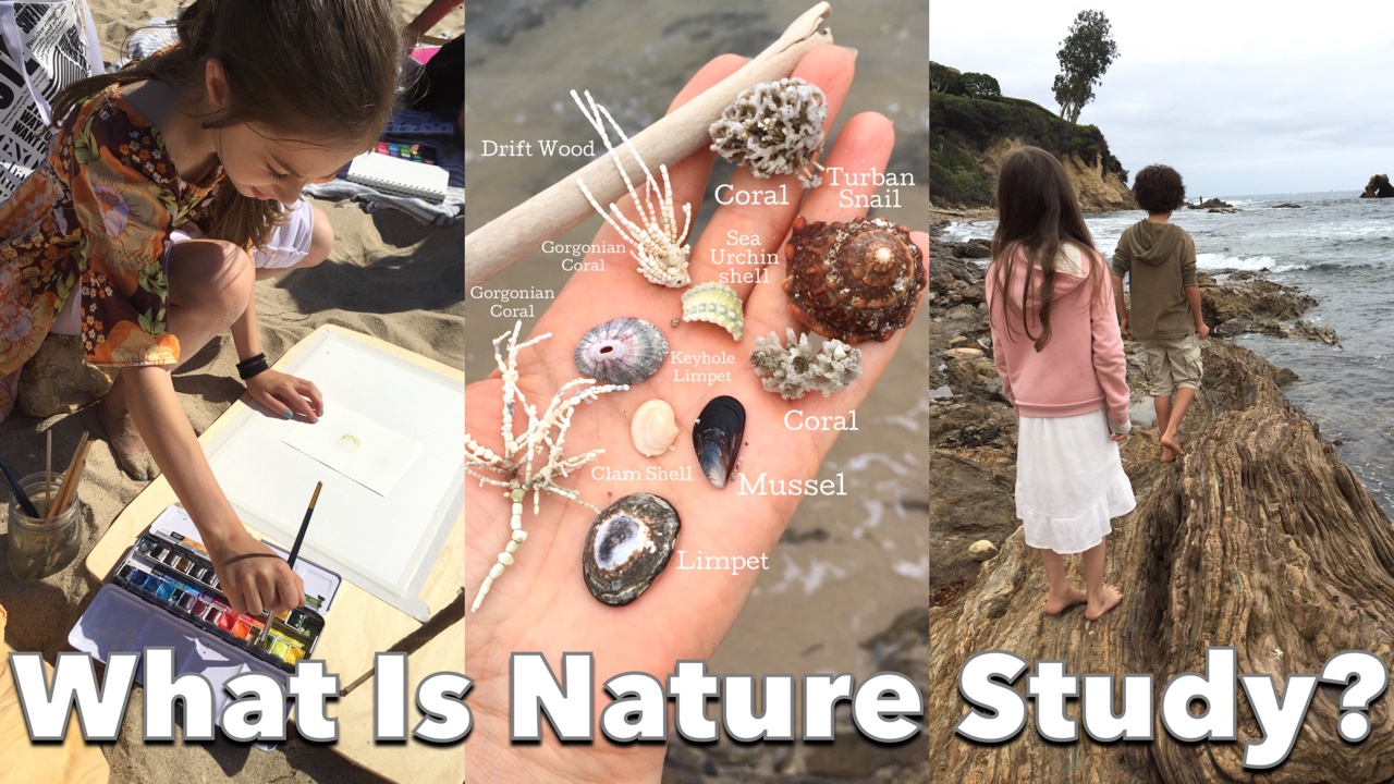 HOW TO DO A CHARLOTTE MASON INSPIRED NATURE STUDY