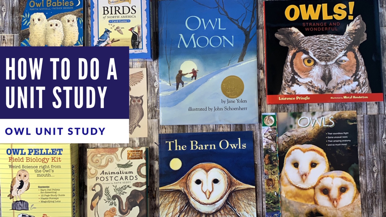 HOW TO DO AN OWL UNIT STUDY | RESOURCES & PROJECTS