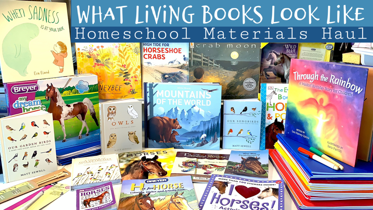 Homeschool Hauls 2019-2020