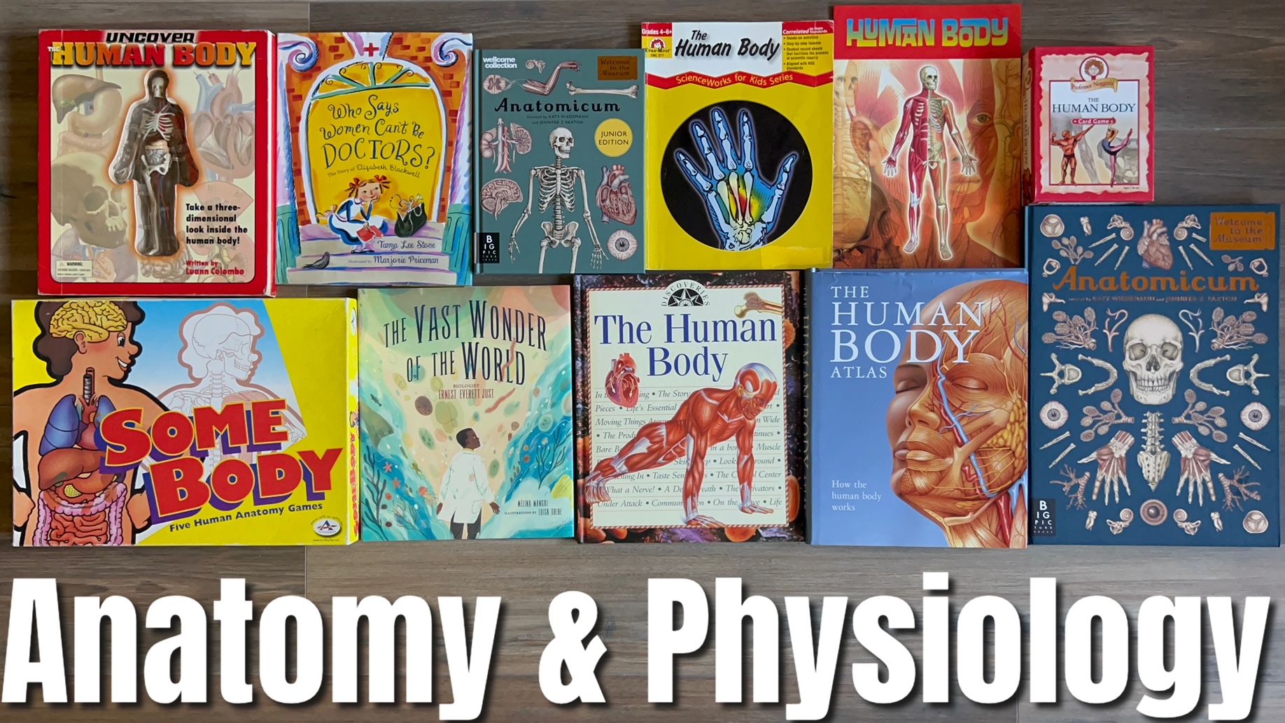 Anatomy the Waldorf-Inspired Way